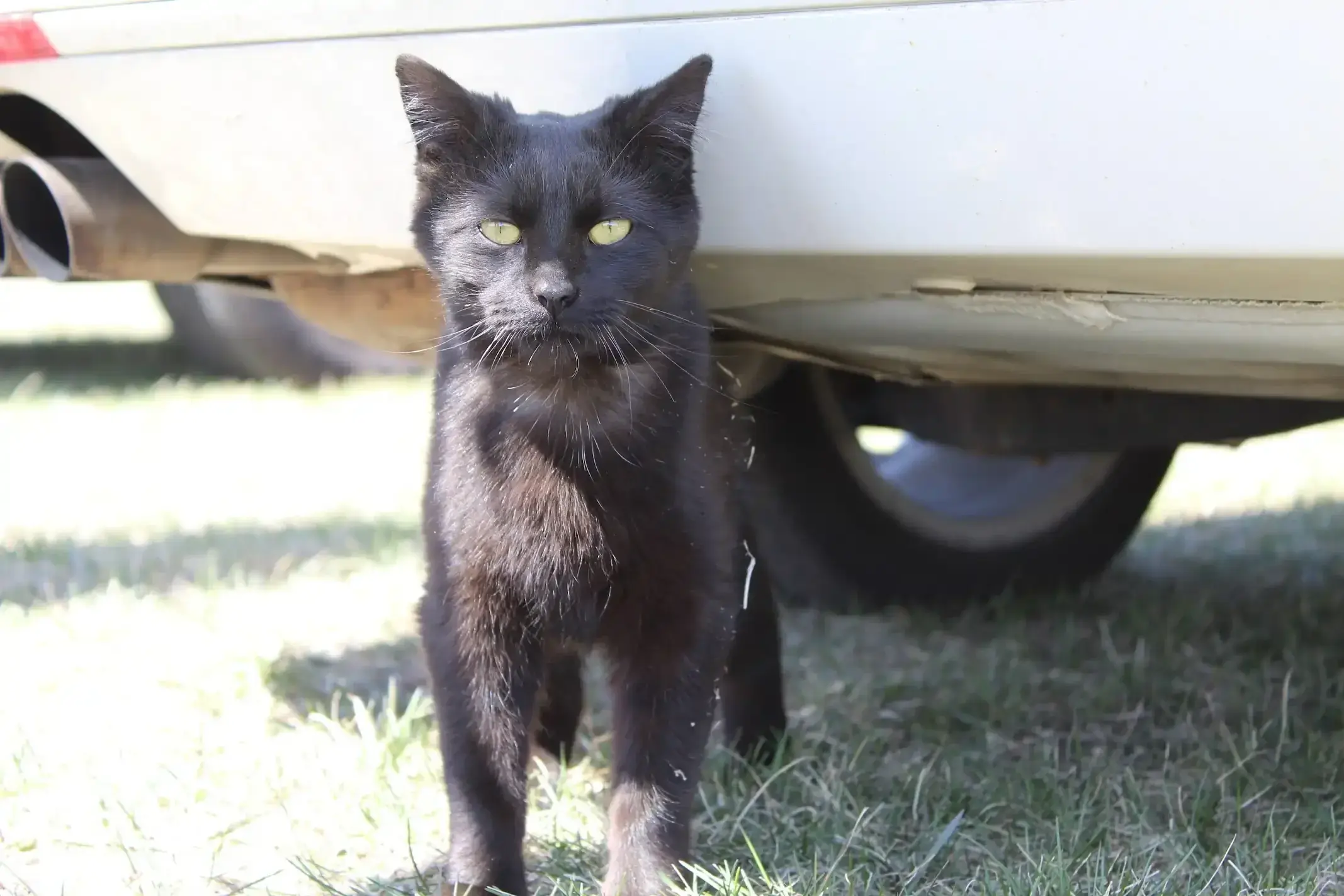 Picture of the author.