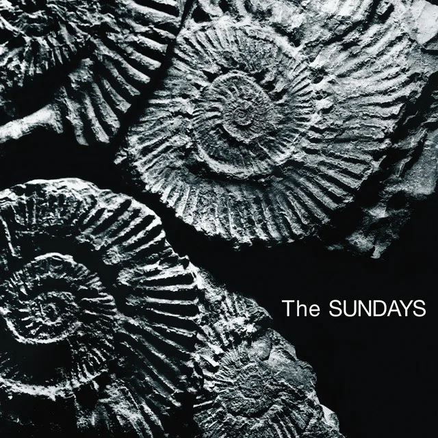 Reading, Writing and Arithmetic - The Sundays